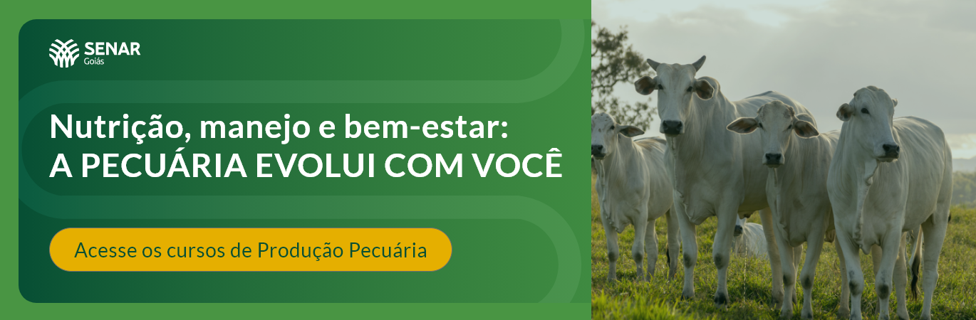banner do programa Produção Pecuária