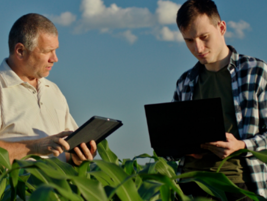 Produtividade agrícola: estratégias para melhorar seus resultados Produtividade agrícola: estratégias para melhorar seus resultados