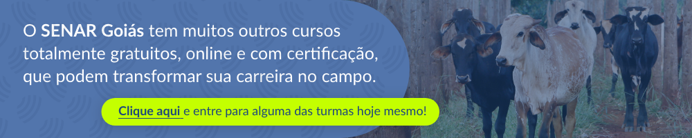 banner convite para conhecer os outros cursos do portal EaD