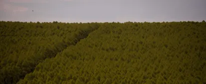 50127177276 45e8c0781c k G
