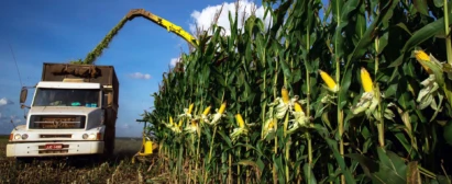 Curso-Nutrição-do-Solo-para-Cultivo-de-Milho-para-Silagem-Senar-Goiás