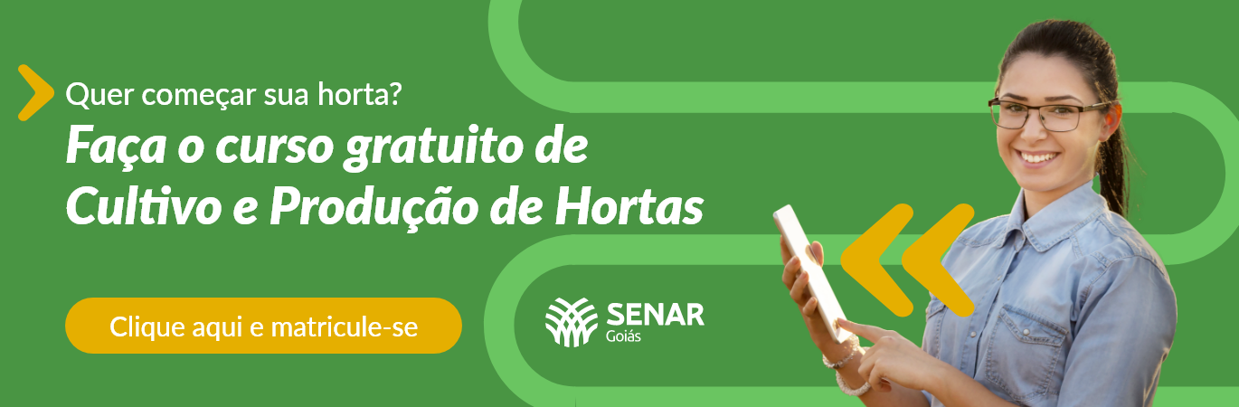 Cultivo e Produção de Hortas