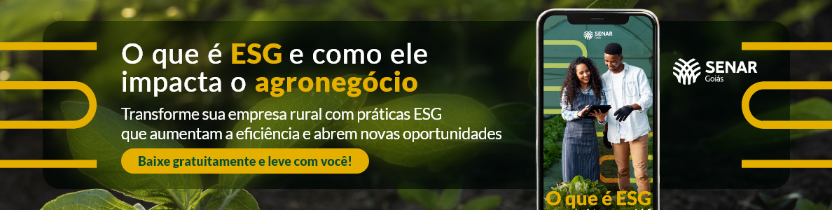 O que é o ESG