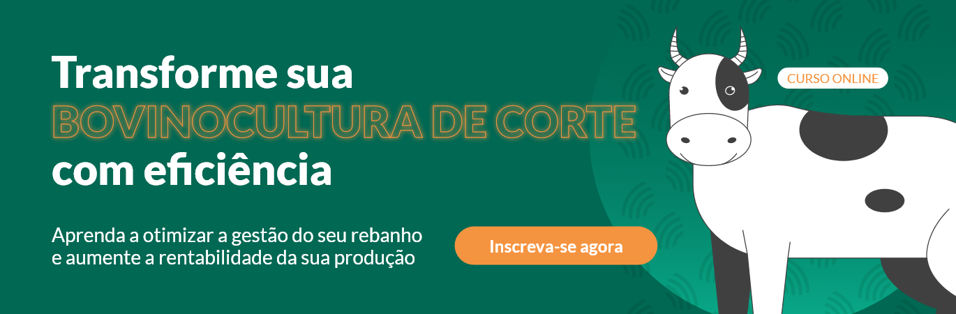 Quer entender mais sobre os impactos da Vaca Nelore Viatina-19? Faça o curso online e gratuito de