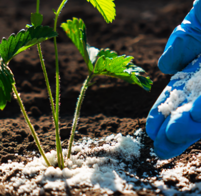 Fertilidade do solo: o segredo para uma agricultura mais produtiva