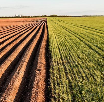 Entenda como a agricultura de precisão pode melhorar a semeadura nas suas terras
