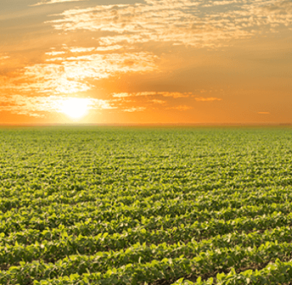 Agricultura de Precisão ao alcance de grandes e pequenos produtores
