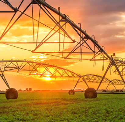 Como aplicar a Agricultura de Precisão em diferentes culturas