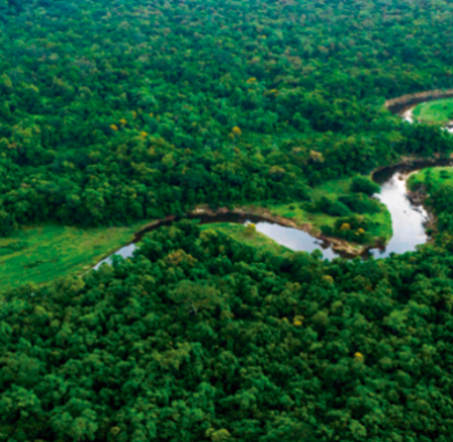 Agricultura de Baixa Emissão de Carbono: entenda o que é e quais benefícios traz para o meio ambiente
