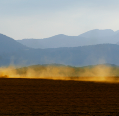 Os impactos da Covid-19 no agronegócio