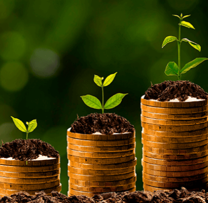 A importância da Administração Financeira e Orçamentária na empresa rural