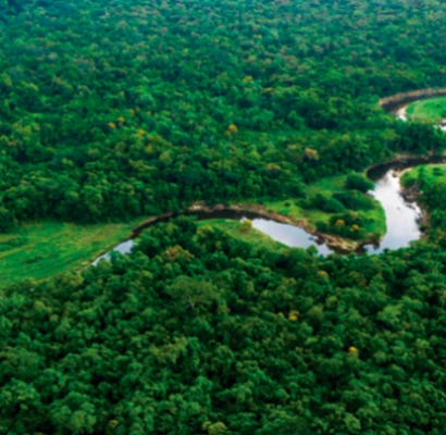 Agricultura de Baixa Emissão de Carbono: entenda o que é e quais benefícios traz para o meio ambiente