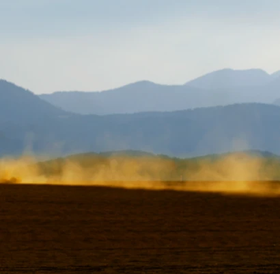 Os impactos da Covid-19 no agronegócio