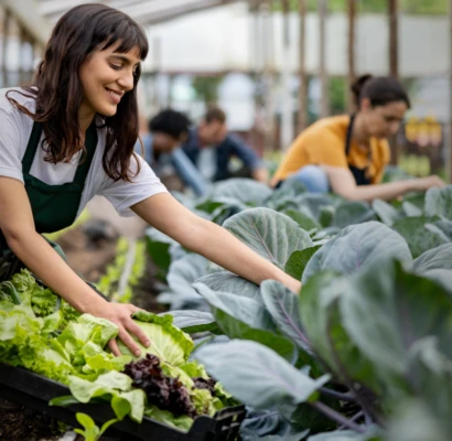 Olericultura: Um caminho para a sustentabilidade e a prosperidade