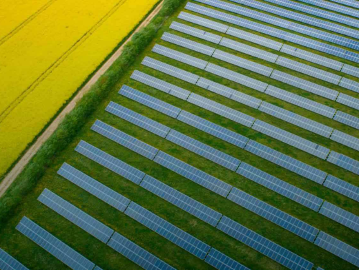 Energia fotovoltaica: reduza os custos na sua propriedade rural Energia fotovoltaica: reduza os custos na sua propriedade rural