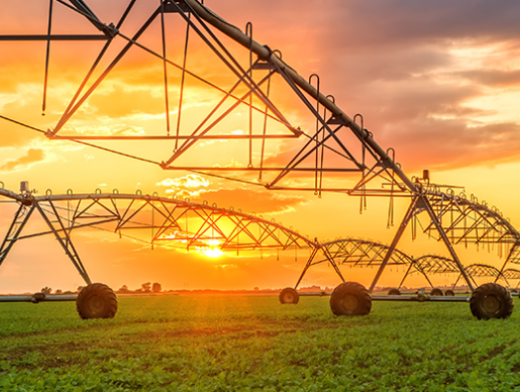 Como aplicar a Agricultura de Precisão em diferentes culturas Como aplicar a Agricultura de Precisão em diferentes culturas