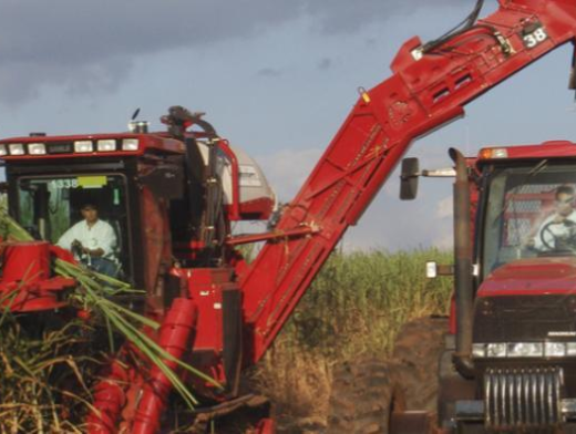 Segurança do trabalho rural: conheça riscos e formas de prevenção