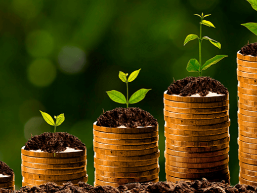A importância da Administração Financeira e Orçamentária na empresa rural A importância da Administração Financeira e Orçamentária na empresa rural